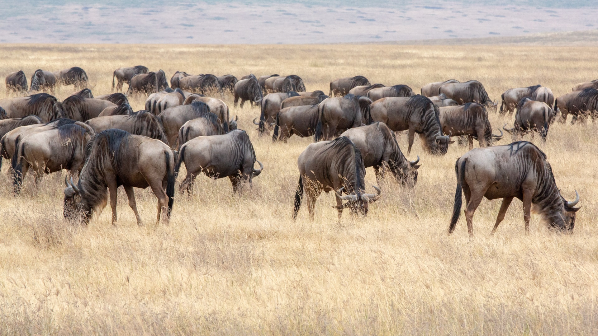 Tourist Activities in Tanzania